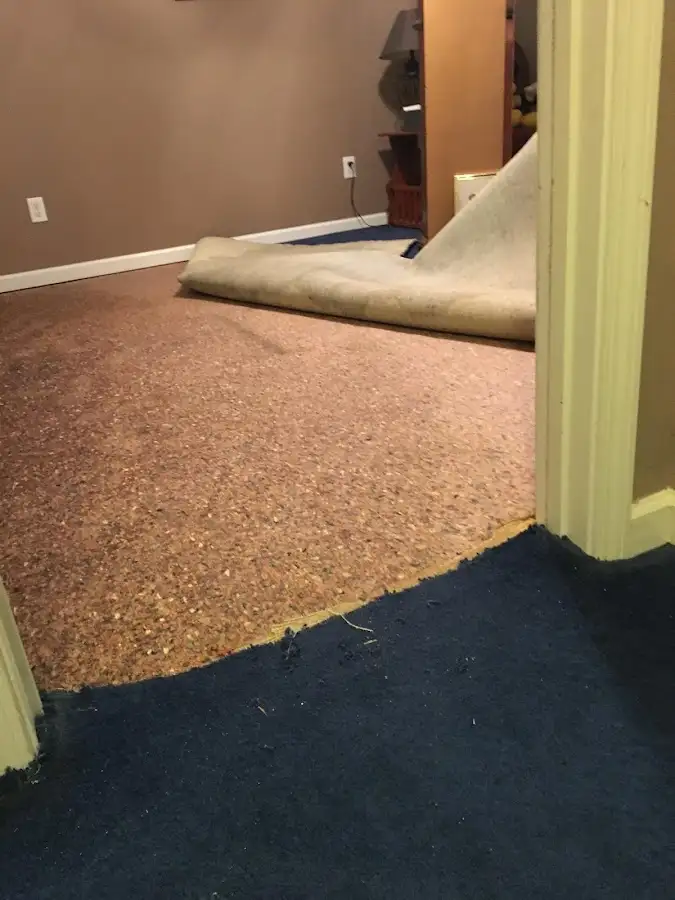 Carpet pad removal revealing water damage during Water Mitigation Services in Midland